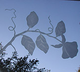Morning Glories Carved Glass Mirror