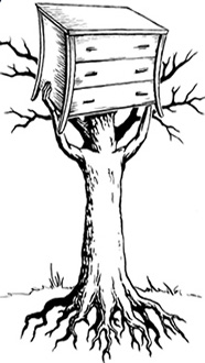 trlogo_tree.jpg (33664 bytes)